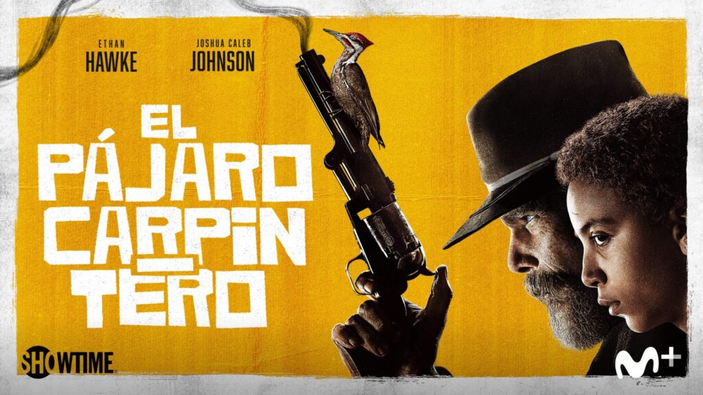 el pajaro carpintero