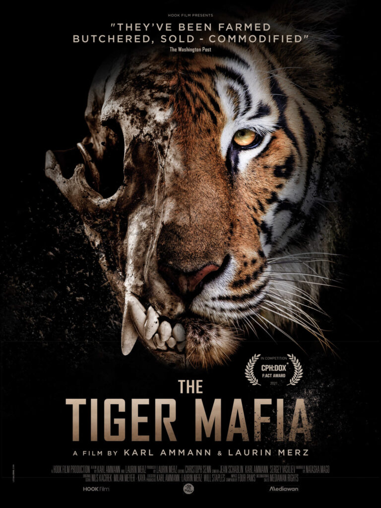 The Tiger Mafia