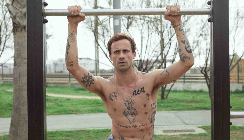 Girasoles Silvestres