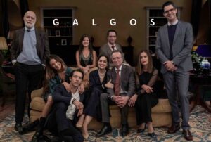 Galgos
