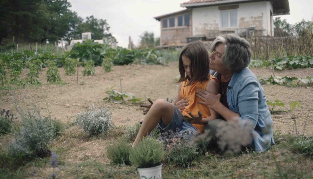 20.000 especies de abejas