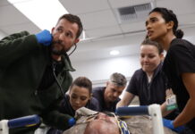 THE PITT: HBO lanza el tráiler oficial y el cartel de la T2