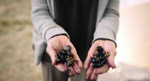 Sorry! Image not available at this time