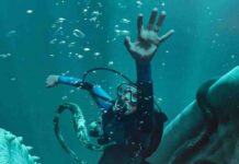 Whalefall: nuevo tráiler disponible
